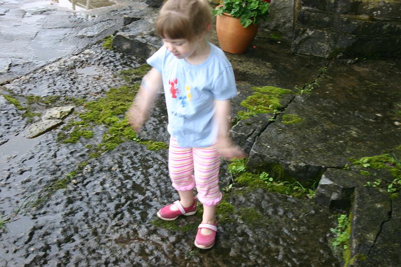 Picture 6977.jpg